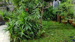 Hong Leong Garden (D5), Terrace #188655172